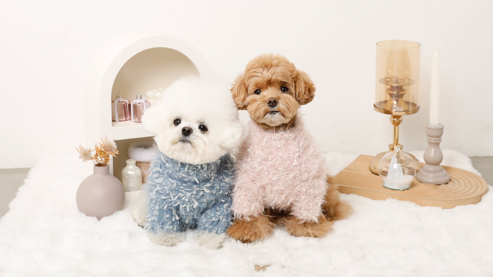 ドッグウェア・犬服通販 - monchéri(モンシェリ) – moncheri