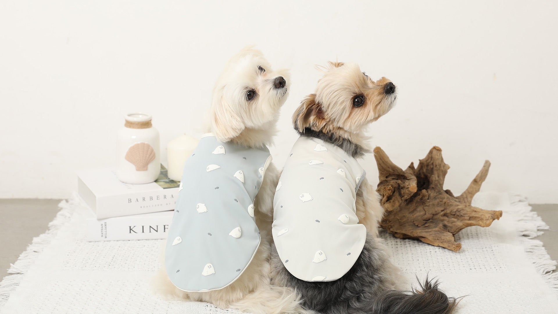 [新品] monchéri 洋服　ツインコーデ　Sサイズ ドッグウェア・犬服通販 - monchéri(モンシェリ) 犬服・アクセサリー