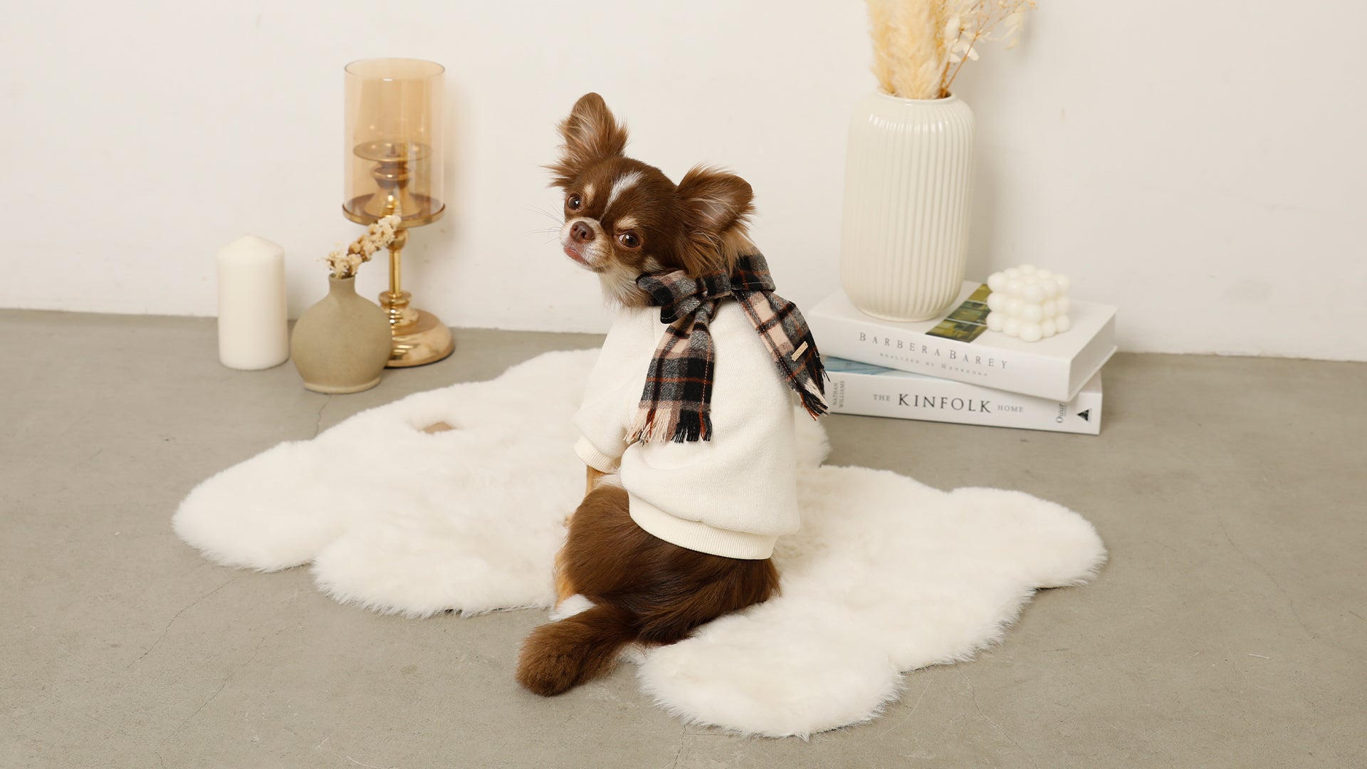 moncheri ワンビース アウター トップス 3点セット Mサイズ ワンピース | ドッグウェア・犬服通販 - monchéri(モンシェリ