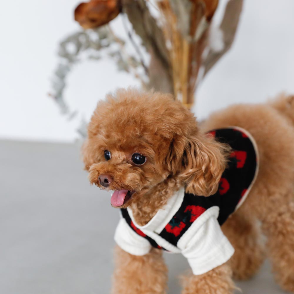 strawberry knit vest jacket