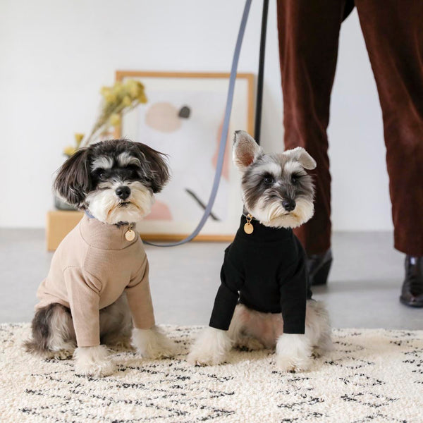 サークルチャームレザーカラー MEDIUM