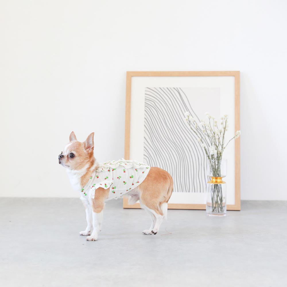 フラワープリントフリルブラウス