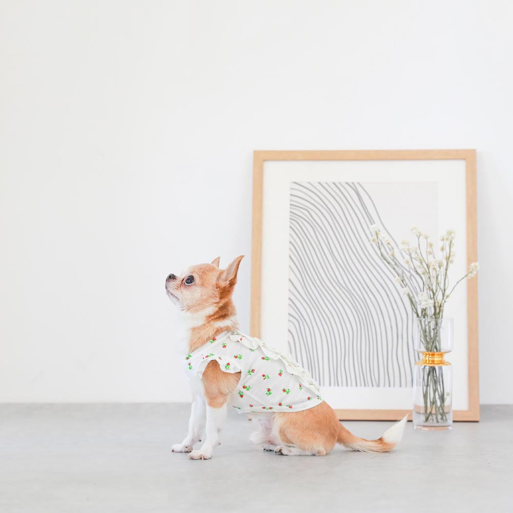 フラワープリントフリルブラウス