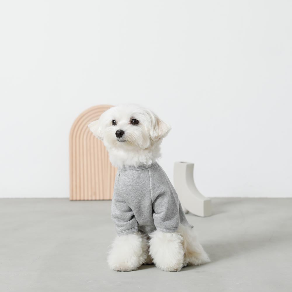 back ribbon sweat tops