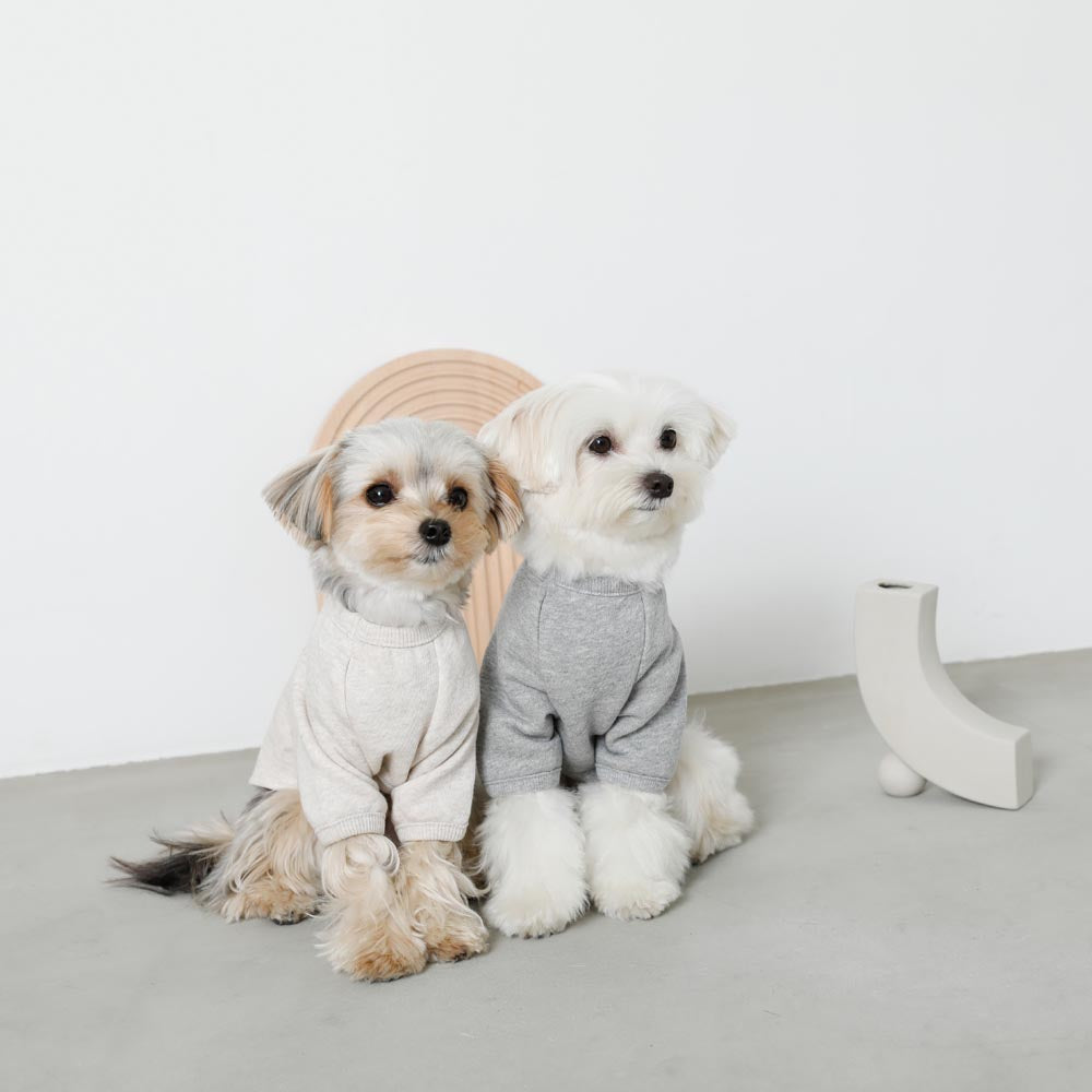 back ribbon sweat tops