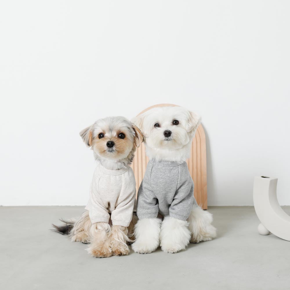 back ribbon sweat tops