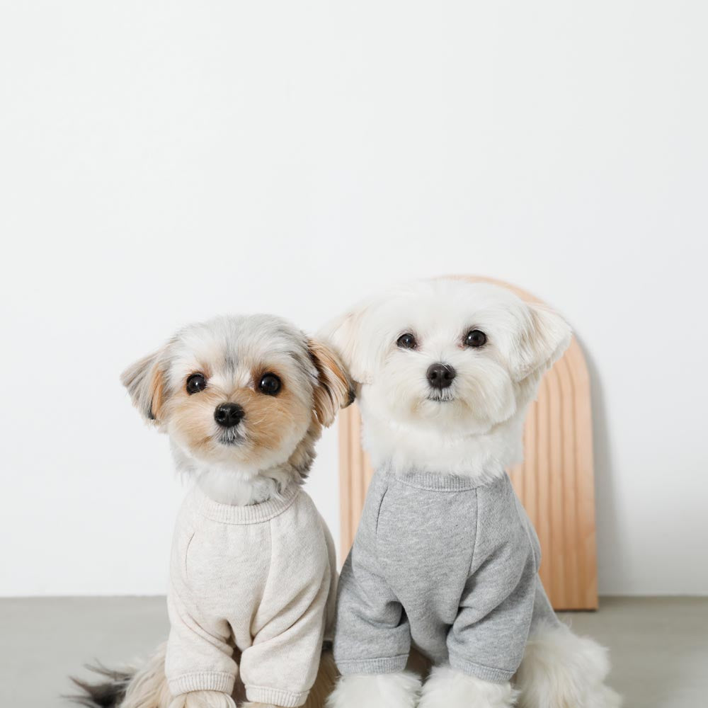 back ribbon sweat tops