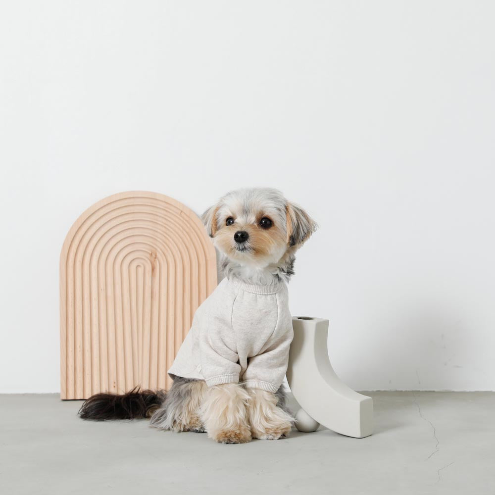 back ribbon sweat tops