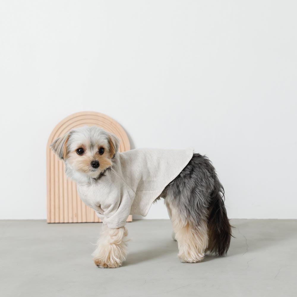 back ribbon sweat tops