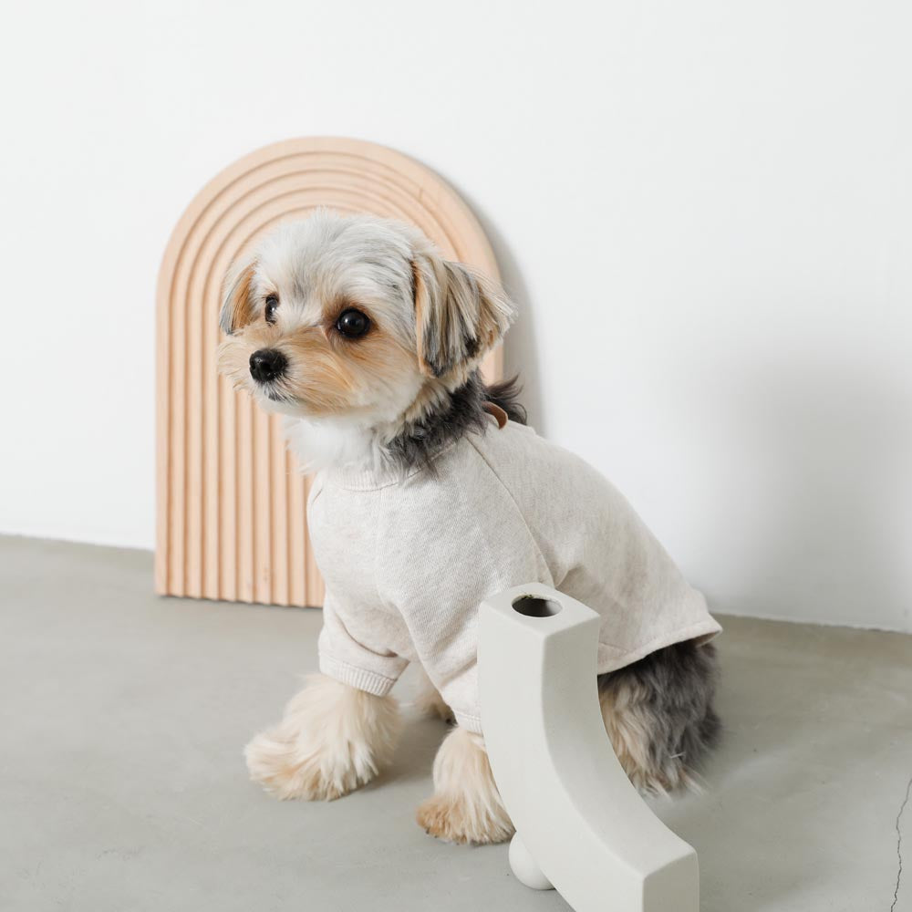 back ribbon sweat tops