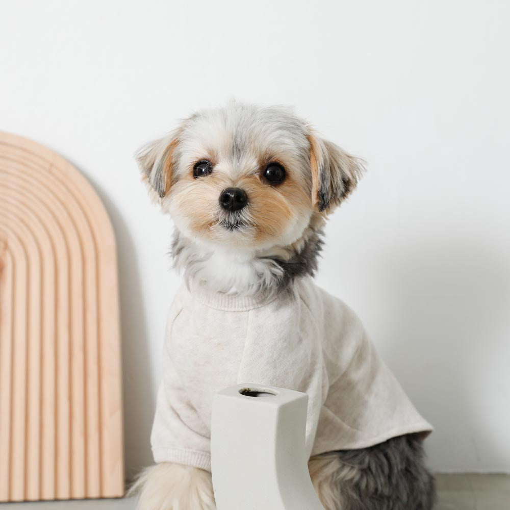 back ribbon sweat tops