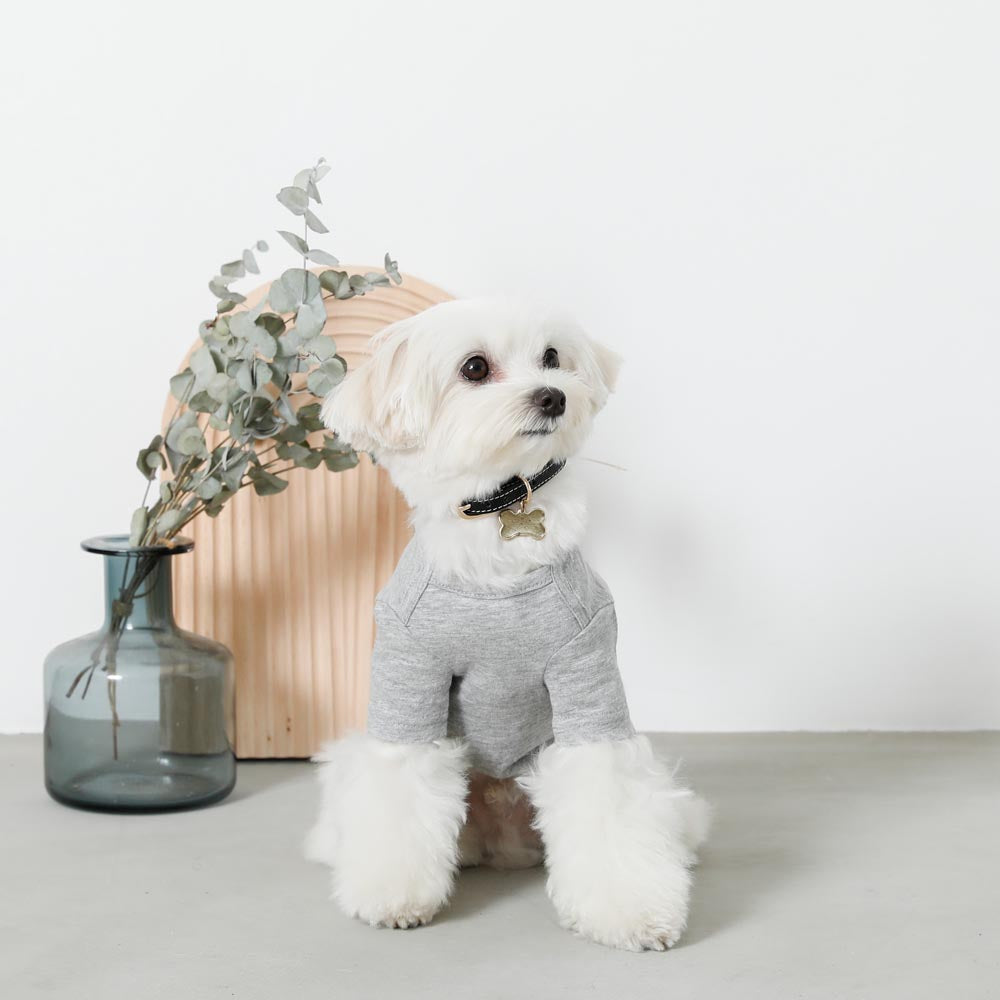 back ribbon sweat tops