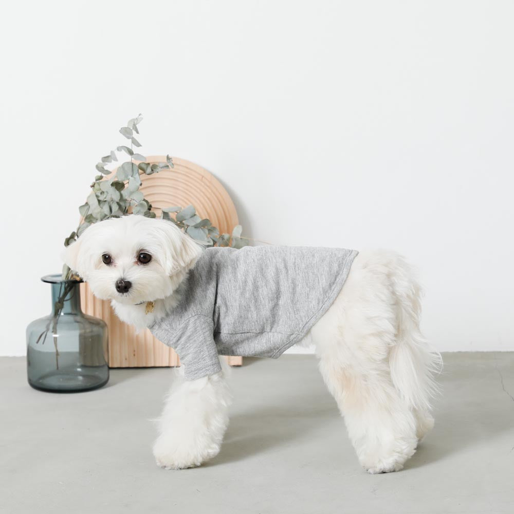 back ribbon sweat tops