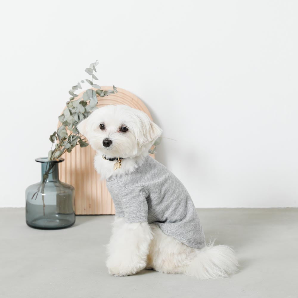 back ribbon sweat tops