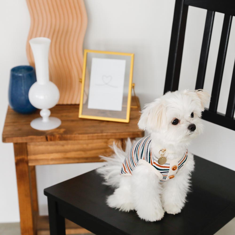 リブボタンマルチボーダートップス