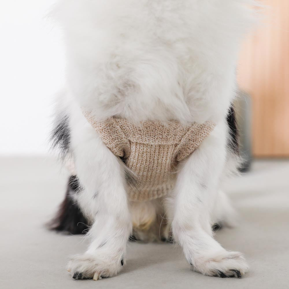 ナチュラルカラーキャミトップス