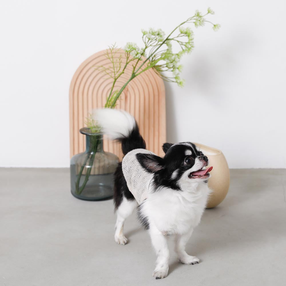 ナチュラルカラーキャミトップス