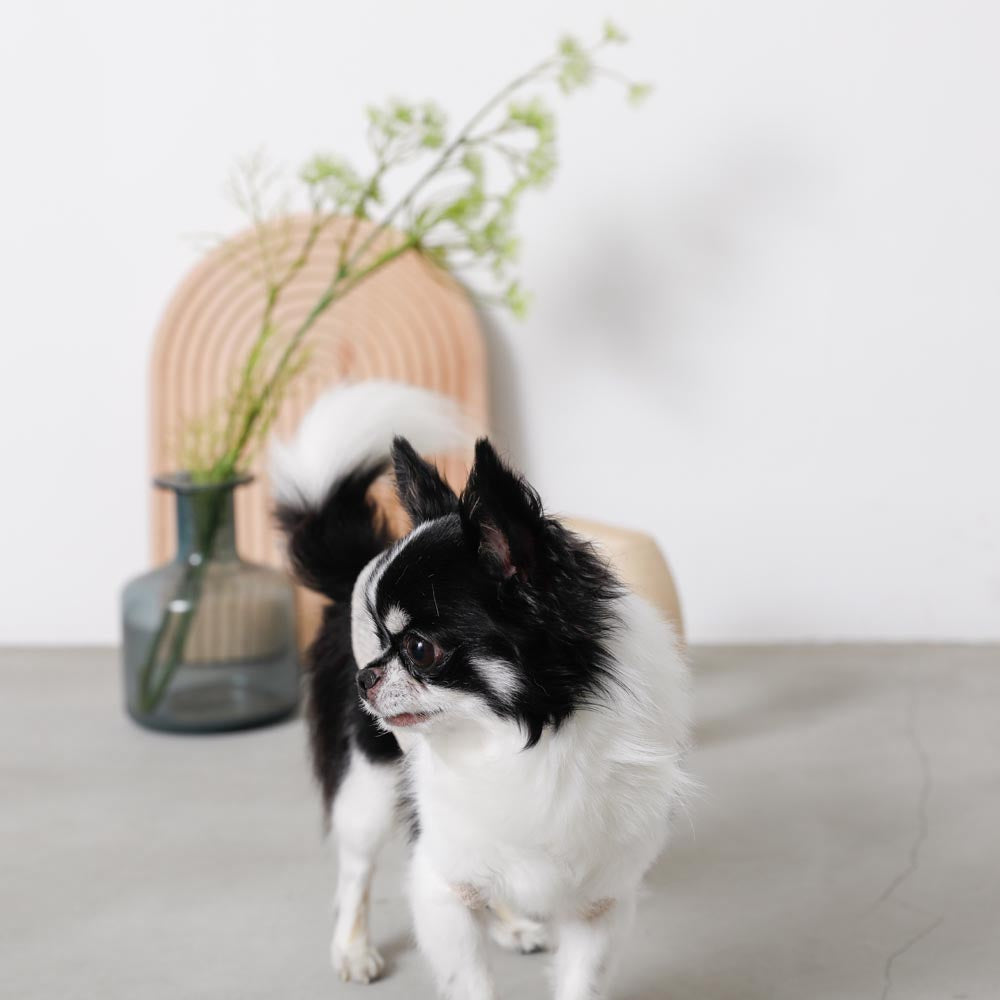 ナチュラルカラーキャミトップス