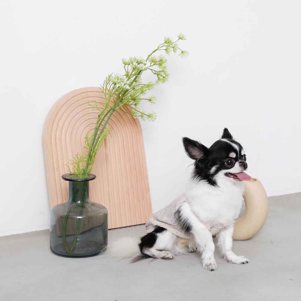 ナチュラルカラーキャミトップス