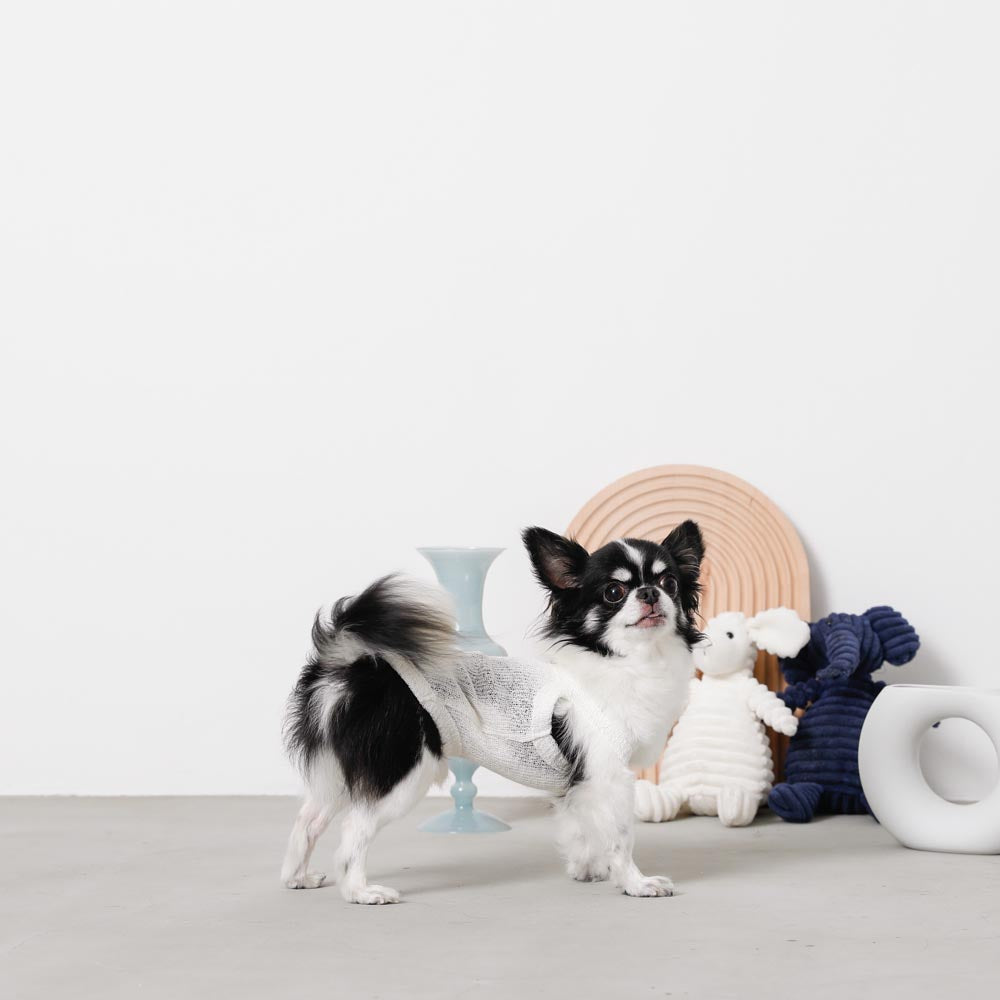 ナチュラルカラーキャミトップス