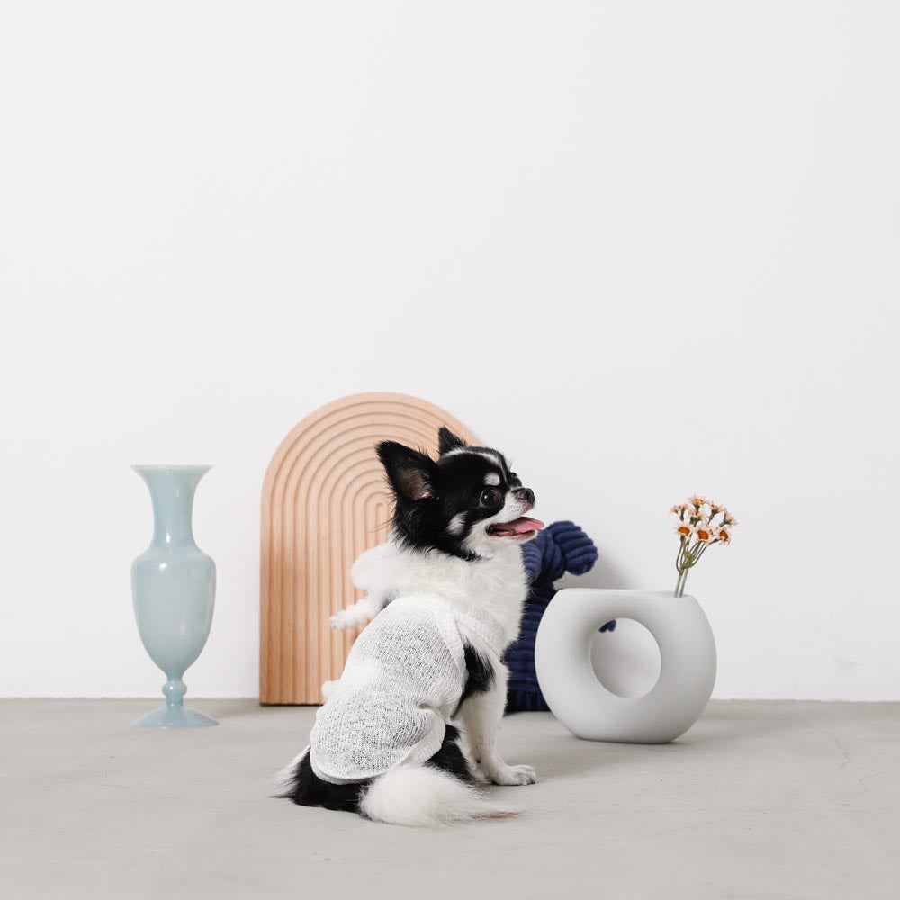 ナチュラルカラーキャミトップス