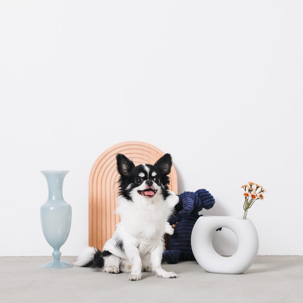 ナチュラルカラーキャミトップス