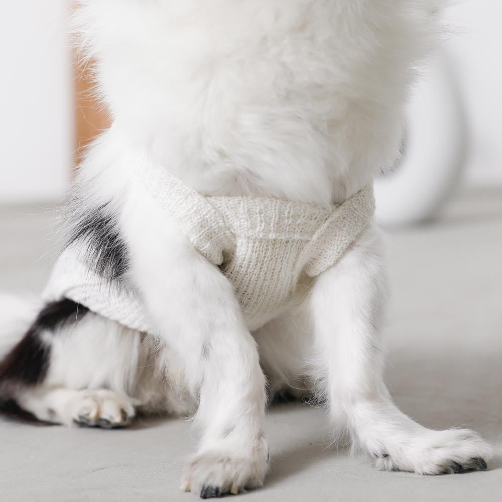 ナチュラルカラーキャミトップス