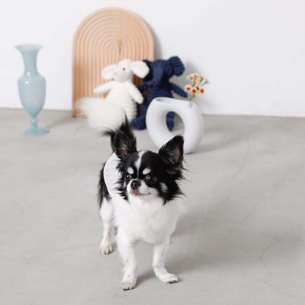 ナチュラルカラーキャミトップス