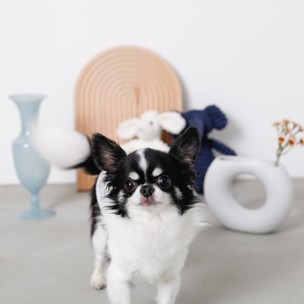 ナチュラルカラーキャミトップス