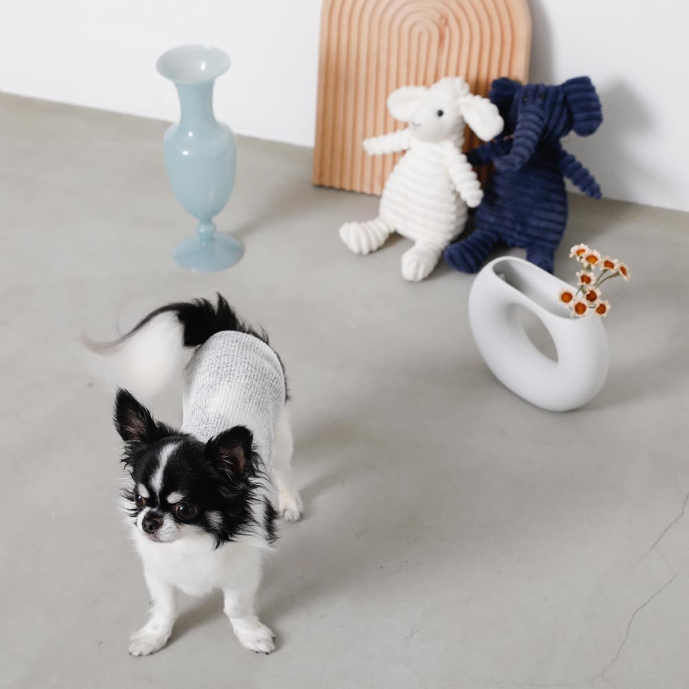 ナチュラルカラーキャミトップス