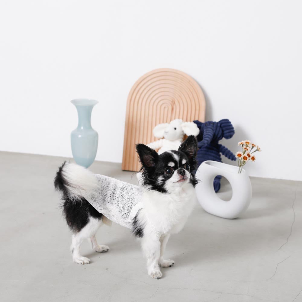 ナチュラルカラーキャミトップス