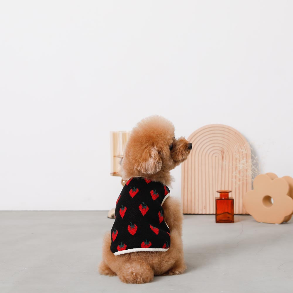 strawberry knit vest jacket