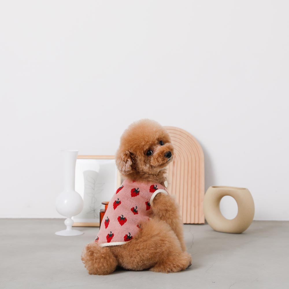 strawberry knit vest jacket