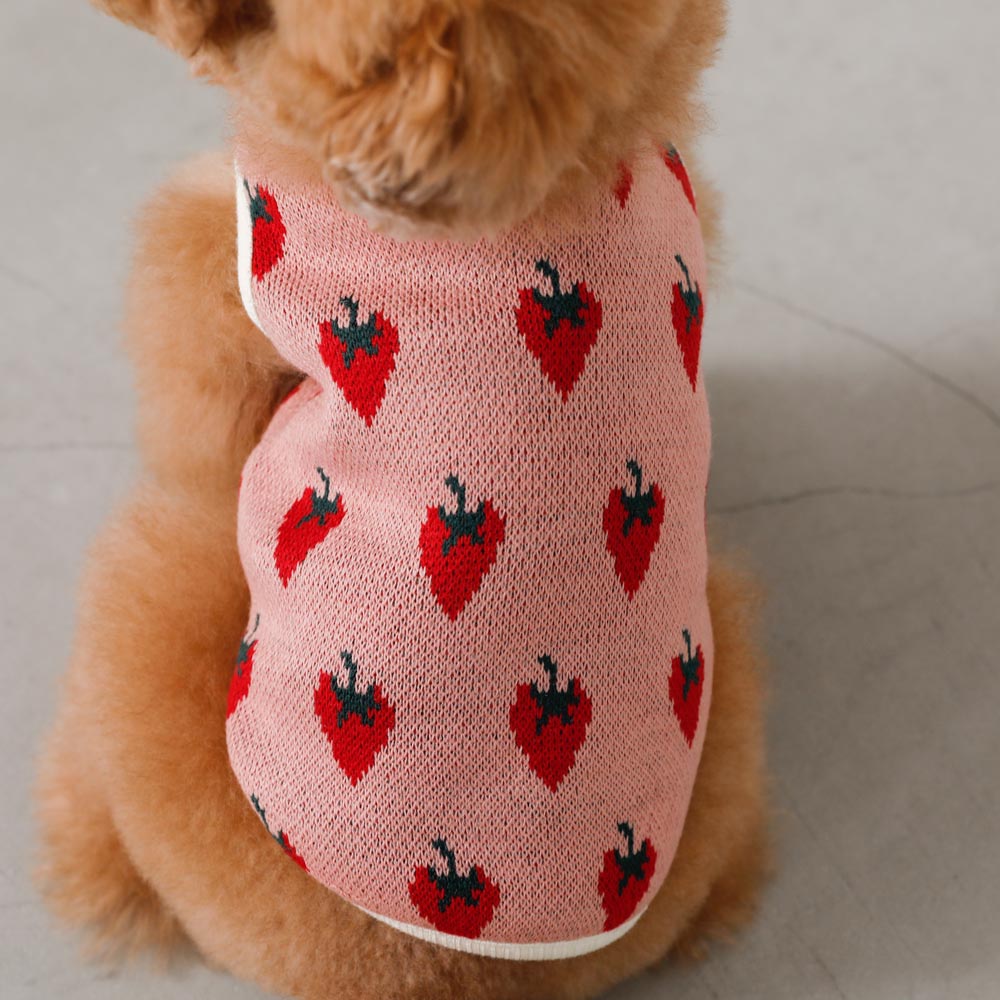 strawberry knit vest jacket