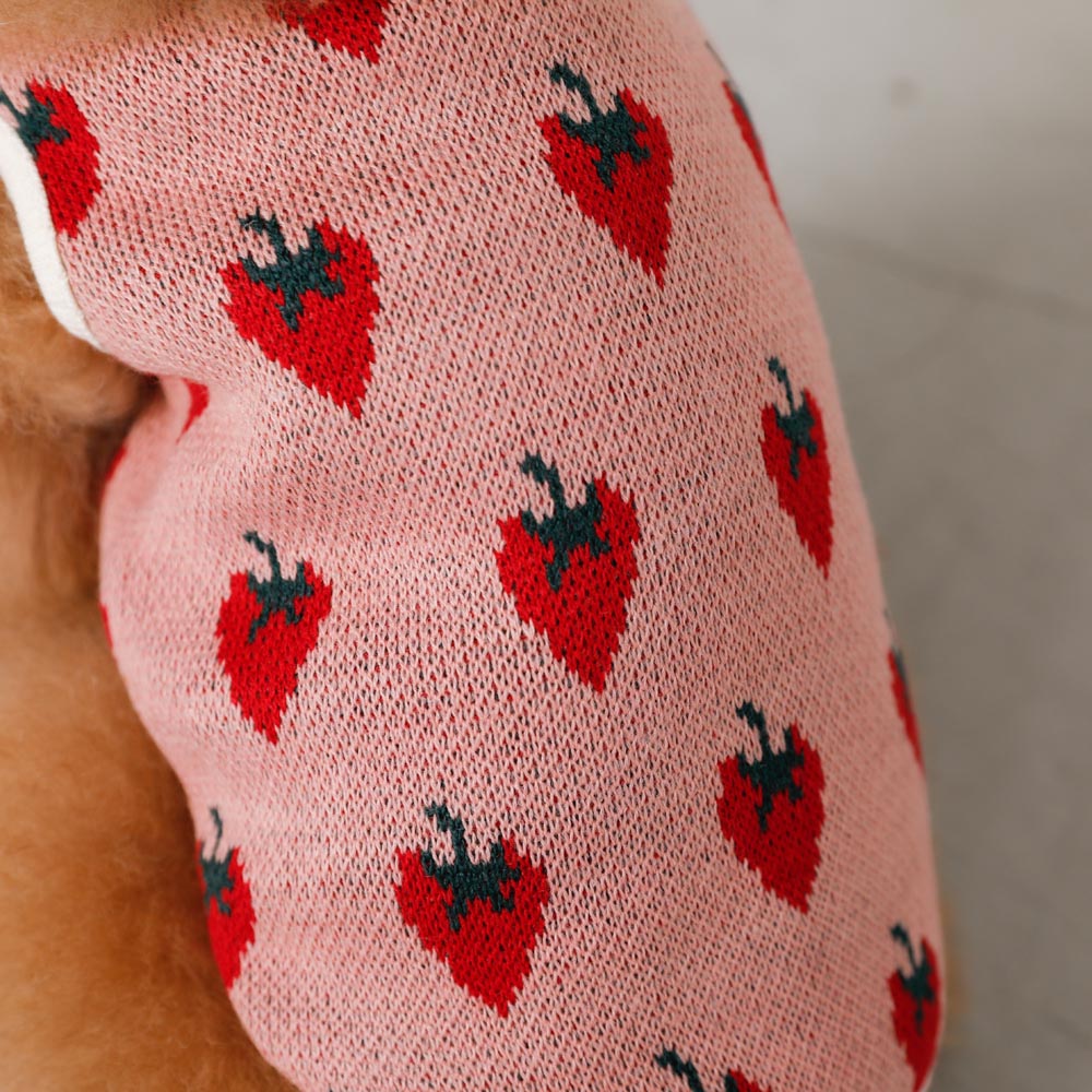 strawberry knit vest jacket