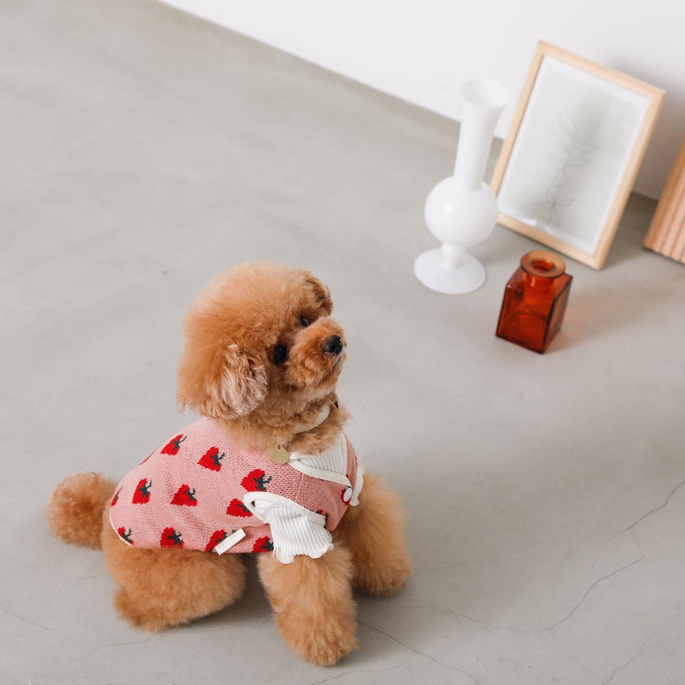strawberry knit vest jacket