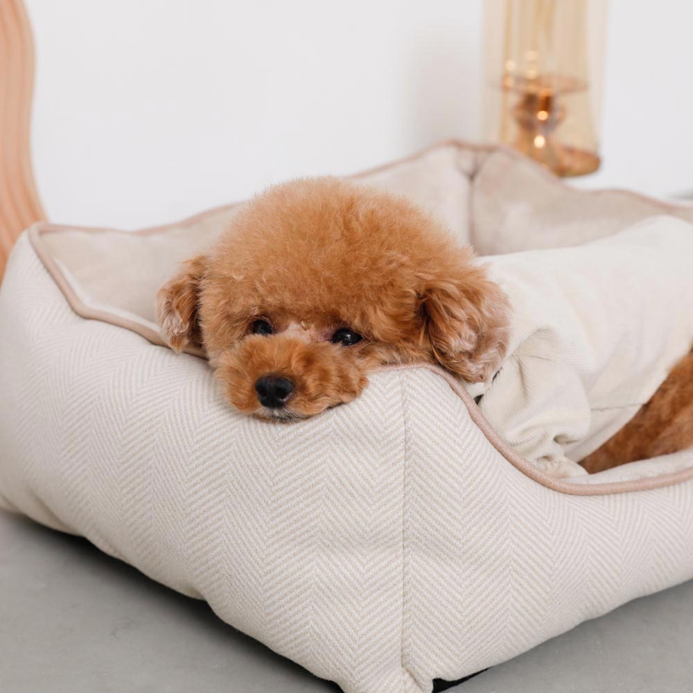 herringbone cushion bed