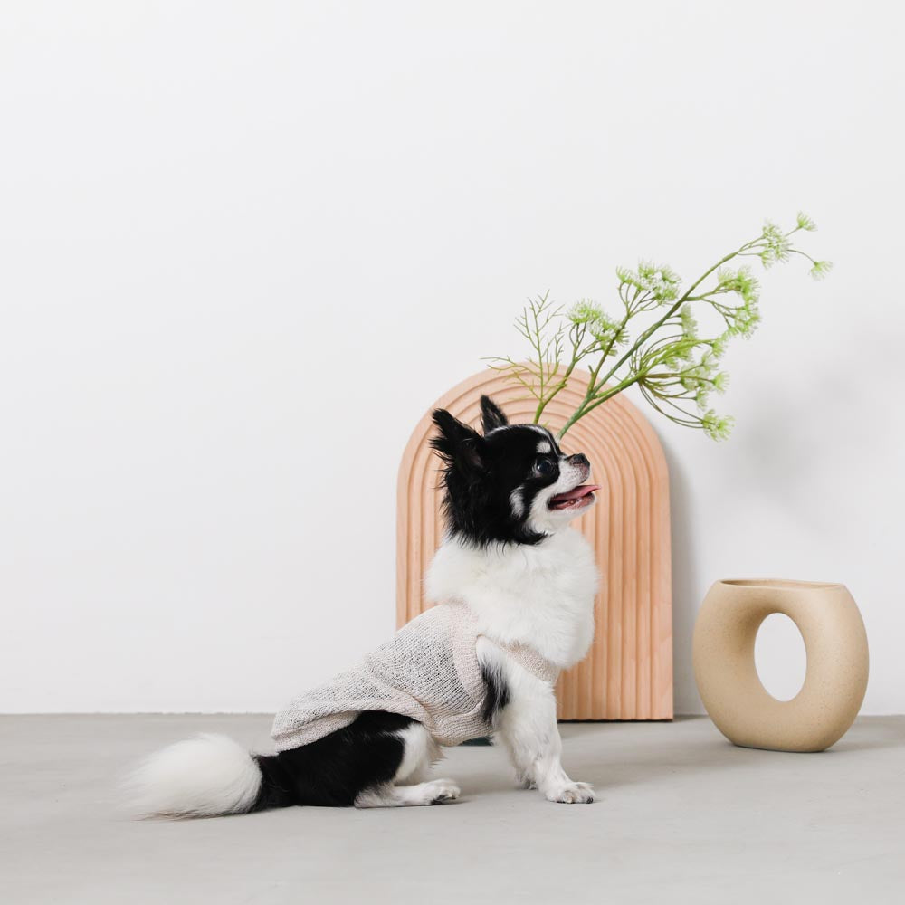 ナチュラルカラーキャミトップス