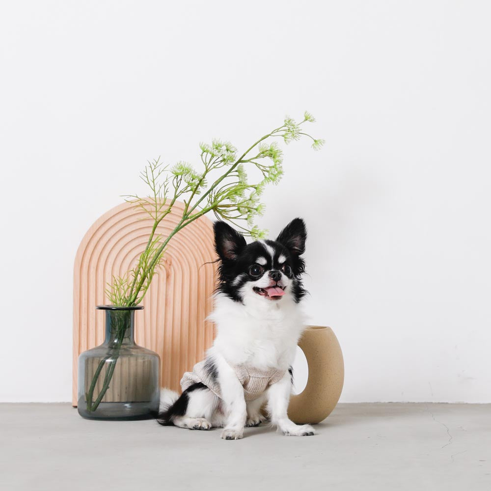 ナチュラルカラーキャミトップス