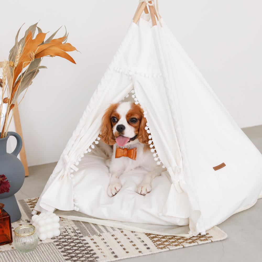 愛犬ペット用ハウス・テント 愛犬ペット用ハウス・テント 【公式通販】