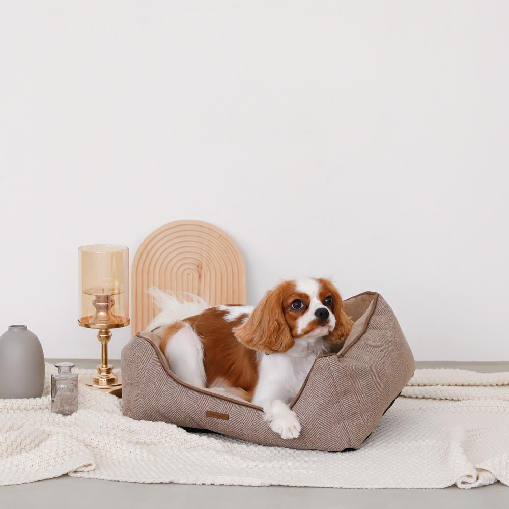 herringbone cushion bed