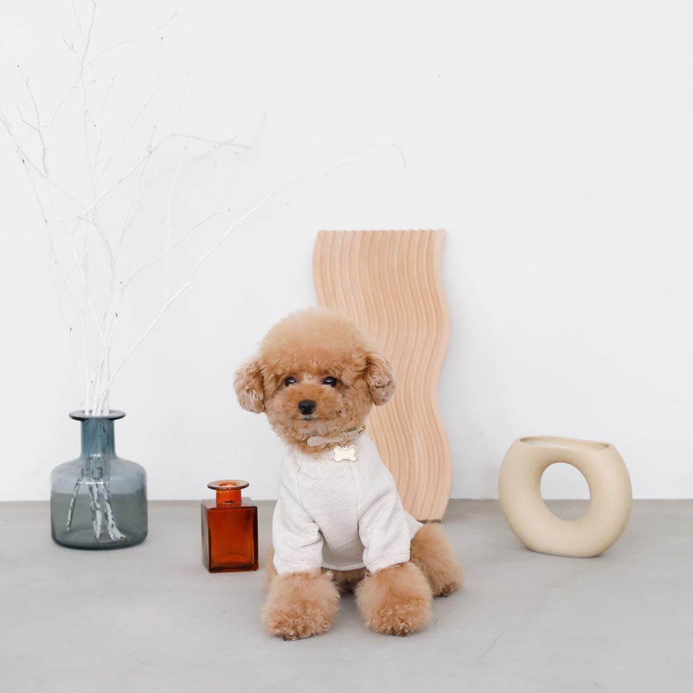 back ribbon sweat tops