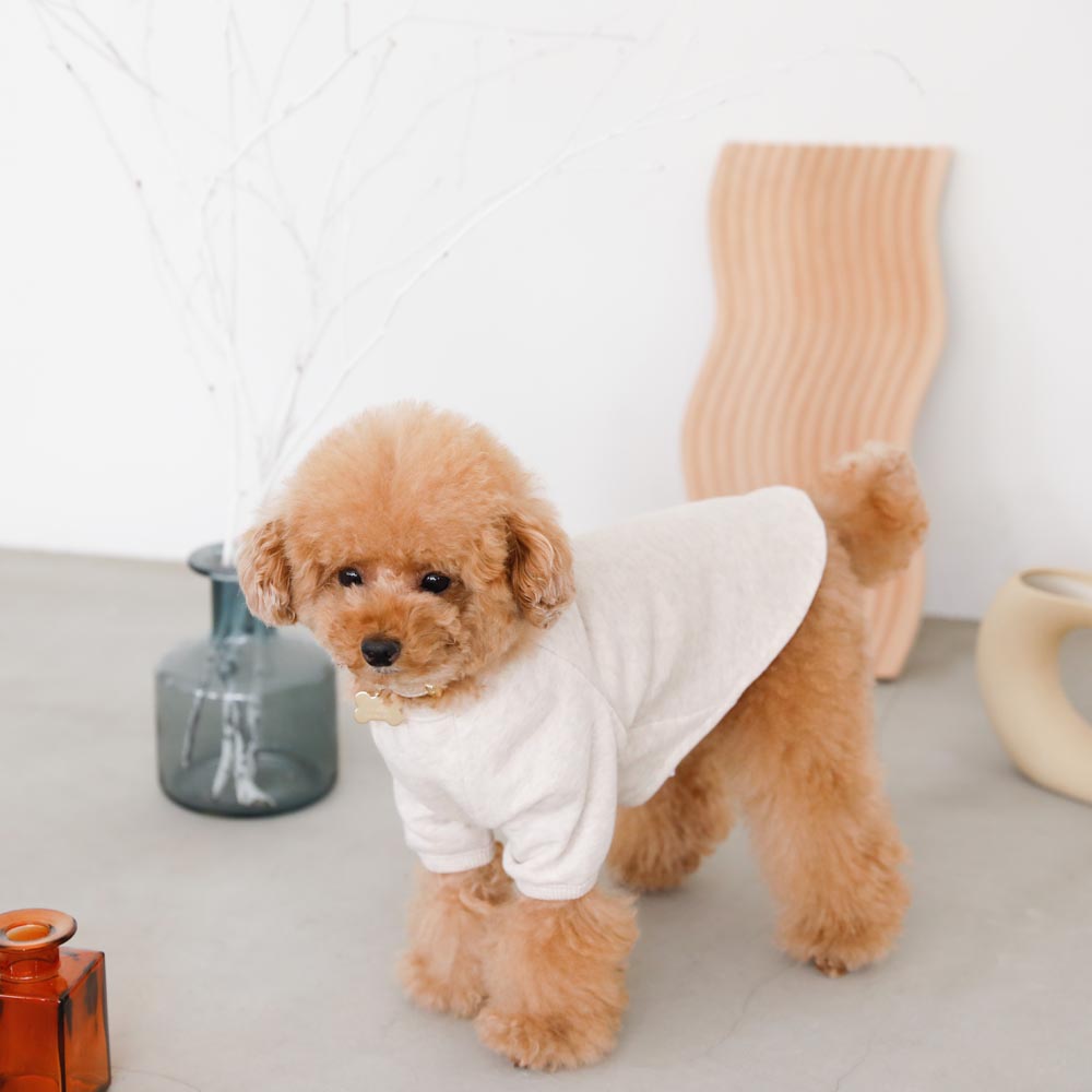 back ribbon sweat tops