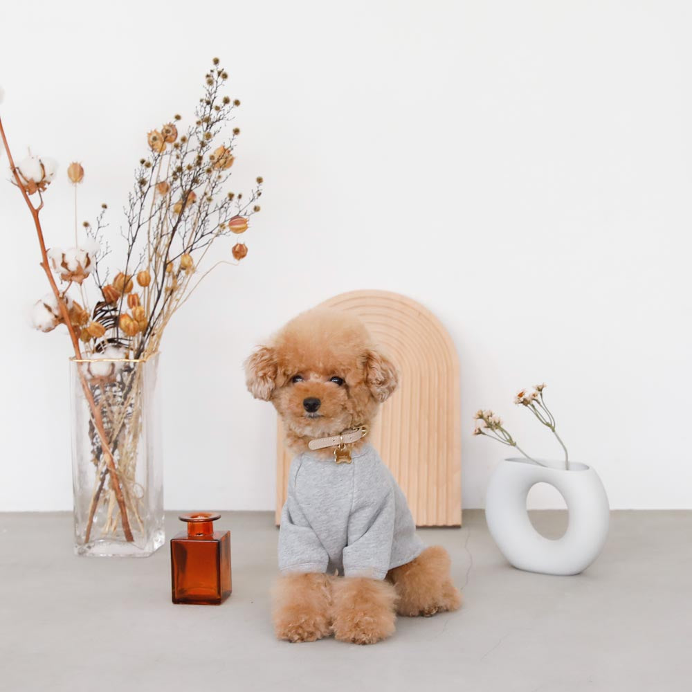 back ribbon sweat tops