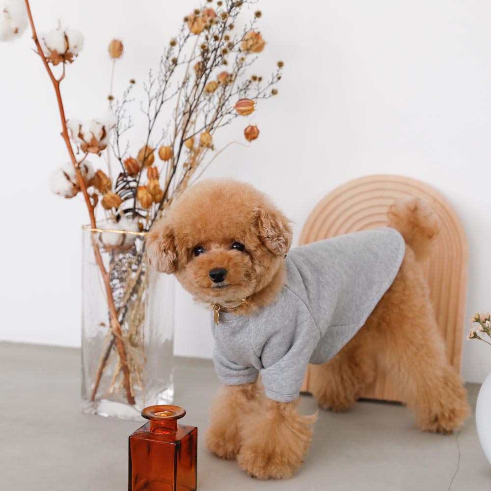 back ribbon sweat tops