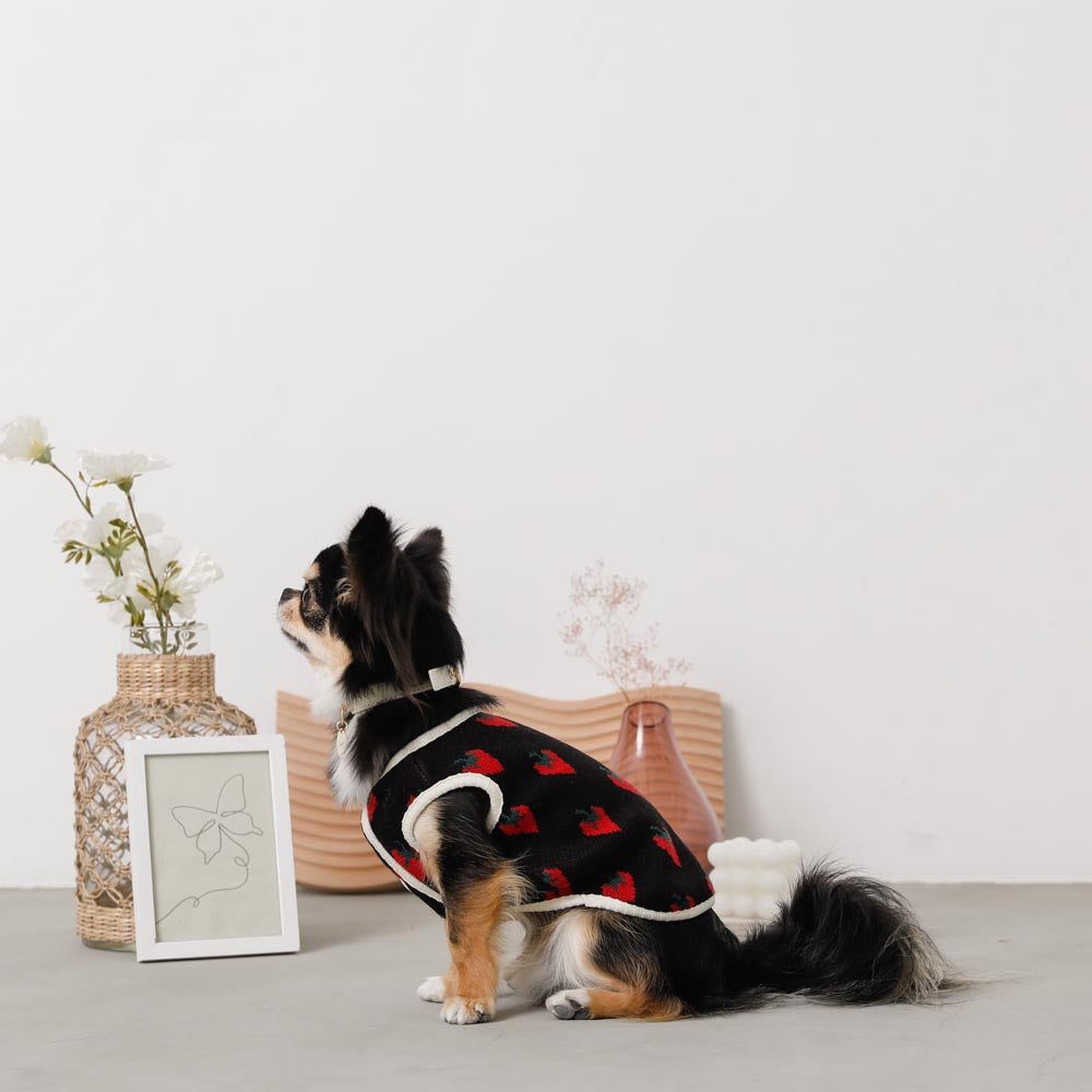 strawberry knit vest jacket