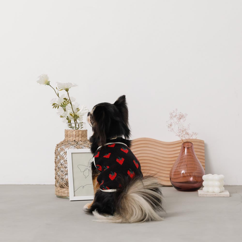strawberry knit vest jacket
