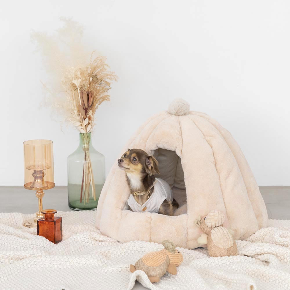 Dome-shaped semi-closed pet house with cushion