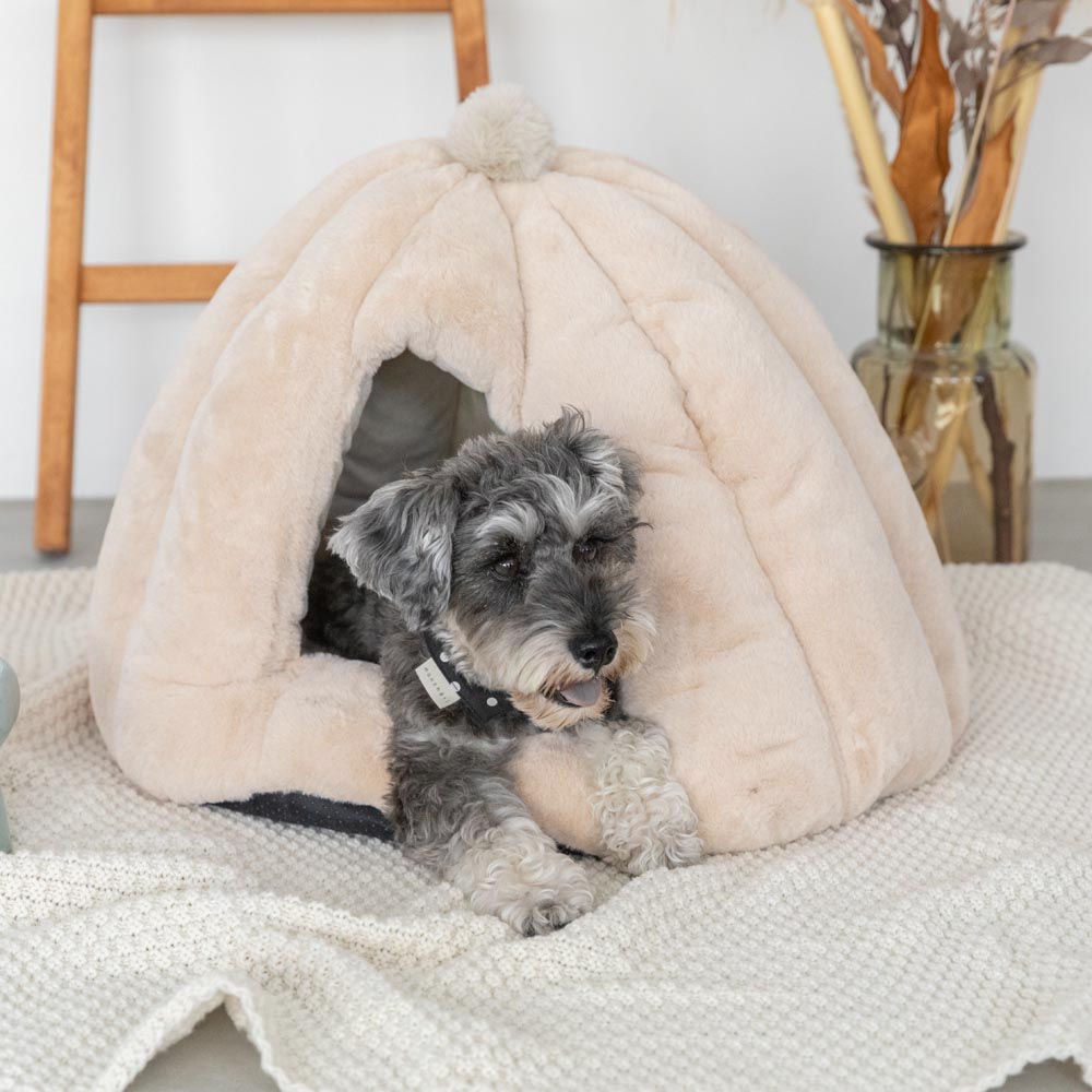 Dome-shaped semi-closed pet house with cushion