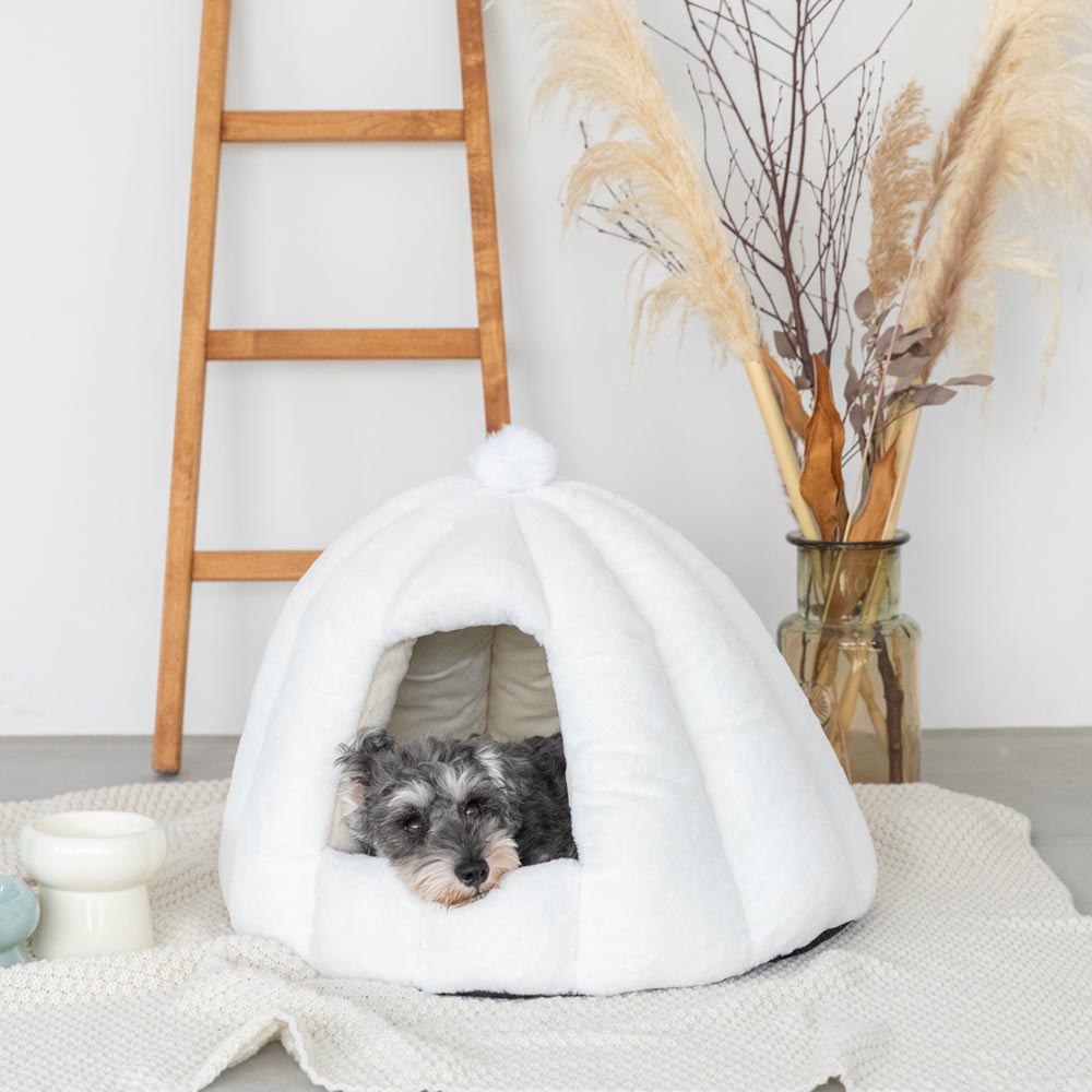 Dome-shaped semi-closed pet house with cushion